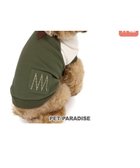 【ペットパラダイス/PET PARADISE / GOODS】のペットパラダイス プレミアムペティヒート 切替えタンクトップ 超小型犬 小型犬 人気、トレンドファッション・服の通販 founy(ファニー) A/W・秋冬 Aw・Autumn/Winter・Fw・Fall-Winter インナー Inner ストレッチ Stretch タンク Tank プレミアム Premium 犬 Dog 秋 Autumn/Fall 軽量 Lightweight 防寒 Cold Protection ホーム・キャンプ・アウトドア・お取り寄せ Home,Garden,Outdoor,Camping Gear ペットグッズ Pet Supplies thumbnail 緑|ID: prp329100004154376 ipo3291000000029099946