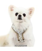 【ペットパラダイス/PET PARADISE / GOODS】のペットパラダイス くまちゃん アクティブハーネス 小型犬 S くまちゃん|ID: prp329100004154405 ipo3291000000028615445