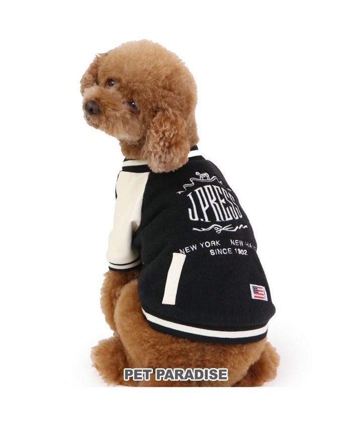 【ペットパラダイス/PET PARADISE / GOODS】のJ.PRESS バイカラー スタジャン 小型犬 インテリア・キッズ・メンズ・レディースファッション・服の通販 founy(ファニー) https://founy.com/ 秋 Autumn/Fall ジャケット Jacket A/W・秋冬 Aw・Autumn/Winter・Fw・Fall-Winter NEW・新作・新着・新入荷 New Arrivals 犬 Dog ホーム・キャンプ・アウトドア・お取り寄せ Home,Garden,Outdoor,Camping Gear ペットグッズ Pet Supplies |ID: prp329100004154408 ipo3291000000028615450