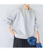 【アメリカンホリック/AMERICAN HOLIC】のサイドスリットポンチプルオーバー 人気、トレンドファッション・服の通販 founy(ファニー) ファッション Fashion レディースファッション WOMEN トップス・カットソー Tops/Tshirt シャツ/ブラウス Shirts/Blouses ロング / Tシャツ T-Shirts プルオーバー Pullover カットソー Cut and Sewn A/W・秋冬 Aw・Autumn/Winter・Fw・Fall-Winter おすすめ Recommend アクセサリー Accessories カットソー Cut And Sew スリット Slit デニム Denim フェミニン Feminine thumbnail Gray Mixture|ID: prp329100004165137 ipo3291000000028777339