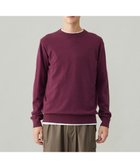 【アンフィーロ/UNFILO / MEN】のライトウォーム クルーネックニット 人気、トレンドファッション・服の通販 founy(ファニー) ファッション Fashion メンズファッション MEN トップス・カットソー Tops/Tshirt/Men ニット Knit Tops A/W・秋冬 Aw・Autumn/Winter・Fw・Fall-Winter ウォッシャブル Washable ウォーム Worm シンプル Simple セーター Sweater thumbnail ボルドー|ID: prp329100004185608 ipo3291000000028995993