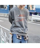 【ウィゴー/WEGO】の【ユニセックス着用ITEM】ピグメントグラフィックプルオーバー 柄3|ID: prp329100004190938 ipo3291000000029030225