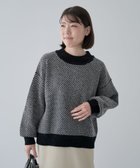 【グリーンパークス/Green Parks】のベロアモールモックネックニットプルオーバー 人気、トレンドファッション・服の通販 founy(ファニー) ファッション Fashion レディースファッション WOMEN トップス・カットソー Tops/Tshirt ニット Knit Tops プルオーバー Pullover ベロア Velour NEW・新作・新着・新入荷 New Arrivals A/W・秋冬 Aw・Autumn/Winter・Fw・Fall-Winter おすすめ Recommend なめらか Smooth セーター Sweater フォルム Form ベロア Velor ボトム Bottom ポケット Pocket thumbnail Black|ID: prp329100004208830 ipo3291000000029180356