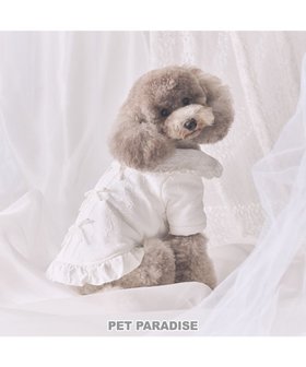 【ペットパラダイス/PET PARADISE / GOODS】のcherircouture ジャガードコート 小型犬 人気、トレンドファッション・服の通販 founy(ファニー) イレギュラー Irregular 犬 Dog A/W・秋冬 Aw・Autumn/Winter・Fw・Fall-Winter ホーム・キャンプ・アウトドア・お取り寄せ Home,Garden,Outdoor,Camping Gear ペットグッズ Pet Supplies |ID:prp329100004217438