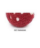 【ペットパラダイス/PET PARADISE / GOODS】のペットパラダイス ふわころトイ 《苺 レッド》 小型犬 レッド|ID: prp329100004239371 ipo3291000000029395783