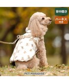 【ペットパラダイス/PET PARADISE / GOODS】のペットパラダイス くまちゃん アウターハーネス 小型犬 オフホワイト|ID: prp329100004242201 ipo3291000000029424569