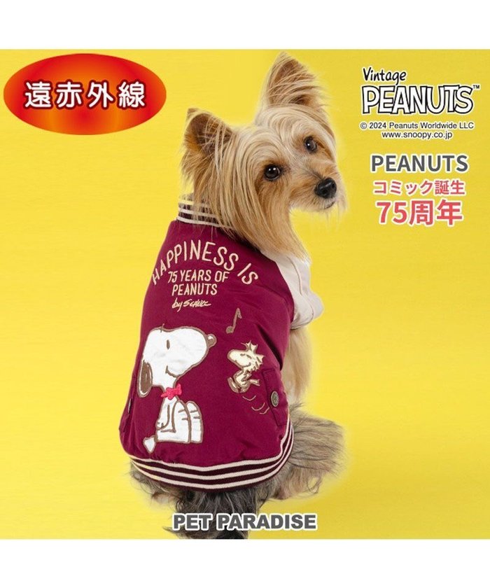 【ペットパラダイス/PET PARADISE / GOODS】のスヌーピー 75周年 遠赤外線 スカジャン 小型犬 インテリア・キッズ・メンズ・レディースファッション・服の通販 founy(ファニー) https://founy.com/ NEW・新作・新着・新入荷 New Arrivals A/W・秋冬 Aw・Autumn/Winter・Fw・Fall-Winter 犬 Dog ホーム・キャンプ・アウトドア・お取り寄せ Home,Garden,Outdoor,Camping Gear ペットグッズ Pet Supplies |ID: prp329100004242209 ipo3291000000029424594