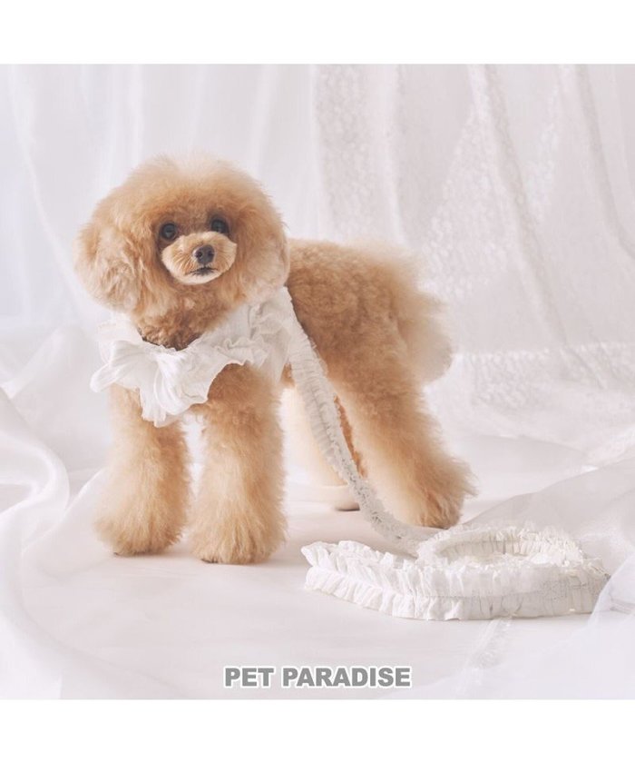 【ペットパラダイス/PET PARADISE / GOODS】のcherircouture フリフリリード 《ホワイト》SS～S 小型犬 インテリア・キッズ・メンズ・レディースファッション・服の通販 founy(ファニー) https://founy.com/ NEW・新作・新着・新入荷 New Arrivals 犬 Dog ホーム・キャンプ・アウトドア・お取り寄せ Home,Garden,Outdoor,Camping Gear ペットグッズ Pet Supplies |ID: prp329100004248076 ipo3291000000029478300