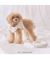 【ペットパラダイス/PET PARADISE / GOODS】のcherircouture フリフリリード 《ホワイト》SS～S 小型犬 人気、トレンドファッション・服の通販 founy(ファニー) NEW・新作・新着・新入荷 New Arrivals 犬 Dog ホーム・キャンプ・アウトドア・お取り寄せ Home,Garden,Outdoor,Camping Gear ペットグッズ Pet Supplies |ID:prp329100004248076