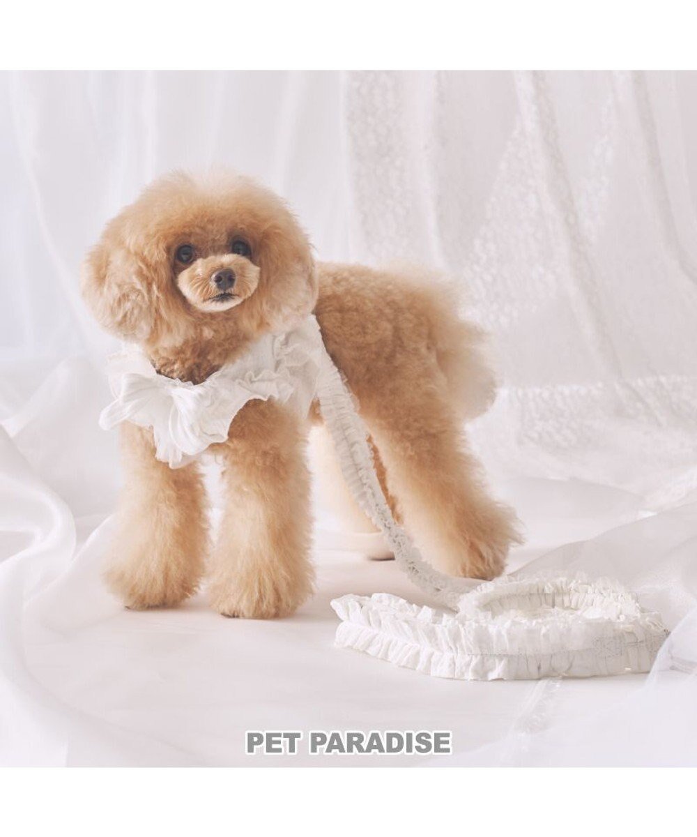 【ペットパラダイス/PET PARADISE / GOODS】のcherircouture フリフリリード 《ホワイト》SS～S 小型犬 人気、トレンドファッション・服の通販 founy(ファニー) 　NEW・新作・新着・新入荷　New Arrivals　犬　Dog　ホーム・キャンプ・アウトドア・お取り寄せ　Home,Garden,Outdoor,Camping Gear　ペットグッズ　Pet Supplies　 other-1|ID: prp329100004248076 ipo3291000000029478300