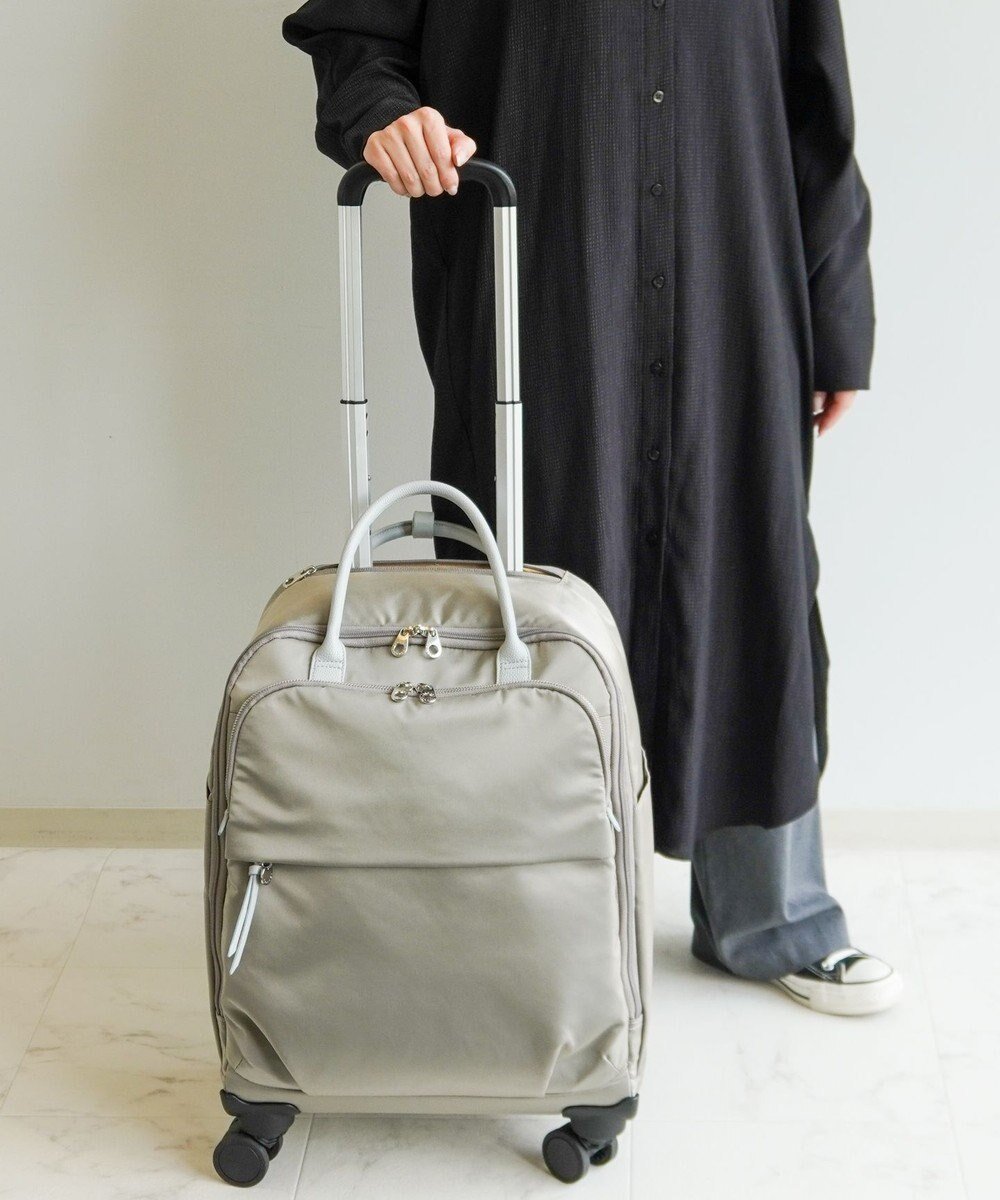 【エースバッグズアンドラゲッジ/ACE BAGS & LUGGAGE】のPROGRES サージュTR ソフトトローリー 36L 68381 プログレ インテリア・キッズ・メンズ・レディースファッション・服の通販 founy(ファニー) 　ファッション　Fashion　レディースファッション　WOMEN　スーツ　Suits　トラベル　Travel　フロント　Front　ポケット　Pocket　旅行　Travel　スーツケース キャリーケース　Suitcase　ベージュ|ID: prp329100004269121 ipo3291000000029670599