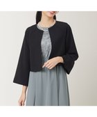 【エニィ スィス/any SiS】の【洗える】セレモニークロップド ジャケット 人気、トレンドファッション・服の通販 founy(ファニー) ファッション Fashion レディースファッション WOMEN アウター Coat Outerwear ジャケット Jackets ノーカラージャケット No Collar Leather Jackets クロップド Cropped コンパクト Compact ジャケット Jacket スクエア Square ストレッチ Stretch ドレス Dress バランス Balance プレーン Plane ボレロ Bolero 人気 Popularity 再入荷 Restock/Back In Stock/Re Arrival 定番 Standard 洗える Washable A/W・秋冬 Aw・Autumn/Winter・Fw・Fall-Winter thumbnail ブラック|ID: prp329100004285607 ipo3291000000030348172