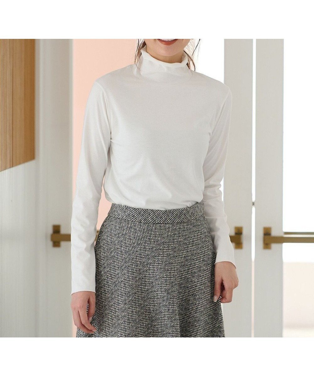 【エニー/ANY】のシアータートルネック インテリア・キッズ・メンズ・レディースファッション・服の通販 founy(ファニー) 　ファッション　Fashion　レディースファッション　Fashion for Women　トップス・カットソー　Cut & Sew Tops　シャツ・ブラウス・オフィスカジュアル　Elegant Blouses & Button-Ups　ロングTシャツ・Tシャツ　Longline T-Shirts & Tees　カットソー・ベーシックTシャツ　Cut-and-Sewn Tops / Stretch Tees & Basics　タートルネック・ハイネックトップス　Turtlenecks & High-Neck Tops　カットソー　Cut and Sewn Top　フィット　Fit, Slim Fit　ベーシック　Basic, Essential　エレガント 上品　Elegant　A/W・秋冬　Autumn/Winter　オフ|ID: prp329100004286014 ipo3291000000033648784