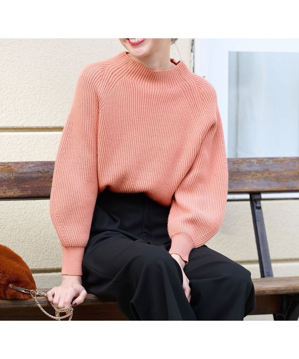 【エニィ スィス/any SiS】の【大人百花掲載 ヨンアさん着用】冬のシャルマン ラグランスリーブ ニット インテリア・キッズ・メンズ・レディースファッション・服の通販 founy(ファニー) 　ファッション　Fashion　レディースファッション　WOMEN　トップス・カットソー　Tops/Tshirt　ニット　Knit Tops　おすすめ　Recommend　シンプル　Simple　スリーブ　Sleeve　セーター　Sweater　ボトルネック　Bottleneck　ミドル　Middle　エレガント 上品　Elegant　冬　Winter　切替　Switching　畦　Ridge　A/W・秋冬　Aw・Autumn/Winter・Fw・Fall-Winter　雑誌　Magazine　サーモンピンク|ID: prp329100004287215 ipo3291000000031942371