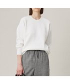 【アイシービー/iCB】の【WEB限定カラーあり・洗える】コットンポリエステルスムース ニットプルオーバー オフホワイト系|ID: prp329100004308291 ipo3291000000036112829