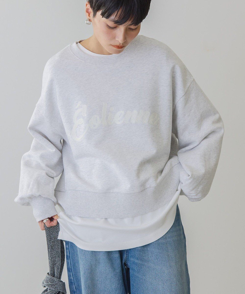 【アメリカンホリック/AMERICAN HOLIC】のチェーン刺繍スウェット 人気、トレンドファッション・服の通販 founy(ファニー) 　ファッション　Fashion　レディースファッション　WOMEN　トップス・カットソー　Tops/Tshirt　パーカ　Sweats　スウェット　Sweat　おすすめ　Recommend　スウェット　Sweat　チェーン　Chain　バランス　Balance　ベーシック　Basic　ボックス　Box　ボトム　Bottom　夏　Summer　春　Spring　S/S・春夏　Ss・Spring/Summer　 other-1|ID: prp329100004309882 ipo3291000000029886093