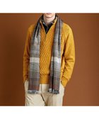 【ジョセフ アブード/JOSEPH ABBOUD / MEN】の【フランス製】グレンチェック ストール 人気、トレンドファッション・服の通販 founy(ファニー) ファッション Fashion メンズファッション MEN A/W・秋冬 Aw・Autumn/Winter・Fw・Fall-Winter アクリル Acrylic カシミヤ Cashmere ストール Stall スヌード Snood チェック Check フランス France マフラー Scarf 再入荷 Restock/Back In Stock/Re Arrival thumbnail ダークブラウン系4|ID: prp329100004313208 ipo3291000000029909496