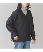 【アメリカンホリック/AMERICAN HOLIC】のVネックニットプルオーバー 人気、トレンドファッション・服の通販 founy(ファニー) ファッション Fashion レディースファッション WOMEN トップス・カットソー Tops/Tshirt ニット Knit Tops プルオーバー Pullover Vネック V-Neck NEW・新作・新着・新入荷 New Arrivals シンプル Simple セーター Sweater フロント Front リラックス Relax ロング Long ワイド Wide 夏 Summer 春 Spring S/S・春夏 Ss・Spring/Summer 洗える Washable thumbnail Black|ID: prp329100004334114 ipo3291000000030106480