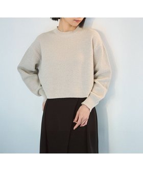 【アンフィーロ 自由区/UNFILO】 【WEB限定】ラメリンクス クロップドニット人気、トレンドファッション・服の通販 founy(ファニー) ファッション Fashion レディースファッション WOMEN トップス・カットソー Tops/Tshirt ニット Knit Tops ウォッシャブル Washable クロップド Cropped シンプル Simple セーター Sweater トレンド Trend バランス Balance リラックス Relax ワイド Wide 夏 Summer 春 Spring S/S・春夏 Ss・Spring/Summer |ID:prp329100004348295