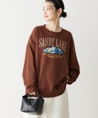 【アメリカンホリック/AMERICAN HOLIC】の刺繍裏毛プルオーバー Brown|ID: prp329100004357215 ipo3291000000031904504