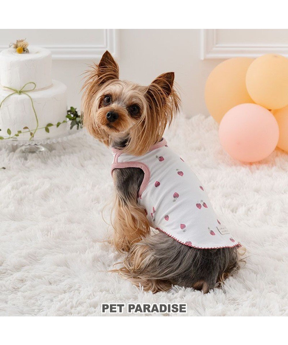 【ペットパラダイス/PET PARADISE / GOODS】のペットパラダイス はじめて タンクトップ 《いちご》 小型犬 人気、トレンドファッション・服の通販 founy(ファニー) 　タンク　Tank　夏　Summer　春　Spring　S/S・春夏　Ss・Spring/Summer　犬　Dog　ホーム・キャンプ・アウトドア・お取り寄せ　Home,Garden,Outdoor,Camping Gear　ペットグッズ　Pet Supplies　 other-1|ID: prp329100004380712 ipo3291000000030613304