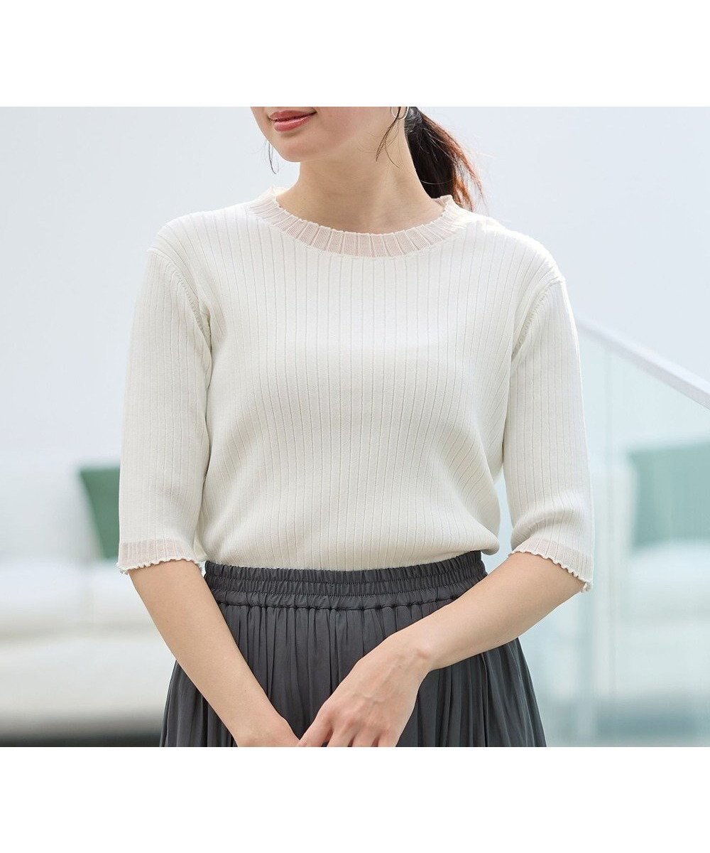 【エニー/ANY】のポイントシアーリブニット インテリア・キッズ・メンズ・レディースファッション・服の通販 founy(ファニー) 　ファッション　Fashion　レディースファッション　Fashion for Women　トップス・カットソー　Cut & Sew Tops　ニット　Knit Tops & Sweaters　おすすめ　Recommended / Our Picks　インナー　Innerwear　カーディガン　Cardigan, Knitwear　シアー　Sheer, See-Through　ジャケット　Jacket, Outerwear　セーター　Sweater, Knitwear　デニム　Denim, Jeans Material　トレンド　Trend, Trending Now　夏　Summer　春　Spring　S/S・春夏　SS, Spring/Summer, Warm Season　オフ|ID: prp329100004385109 ipo3291000000036280834