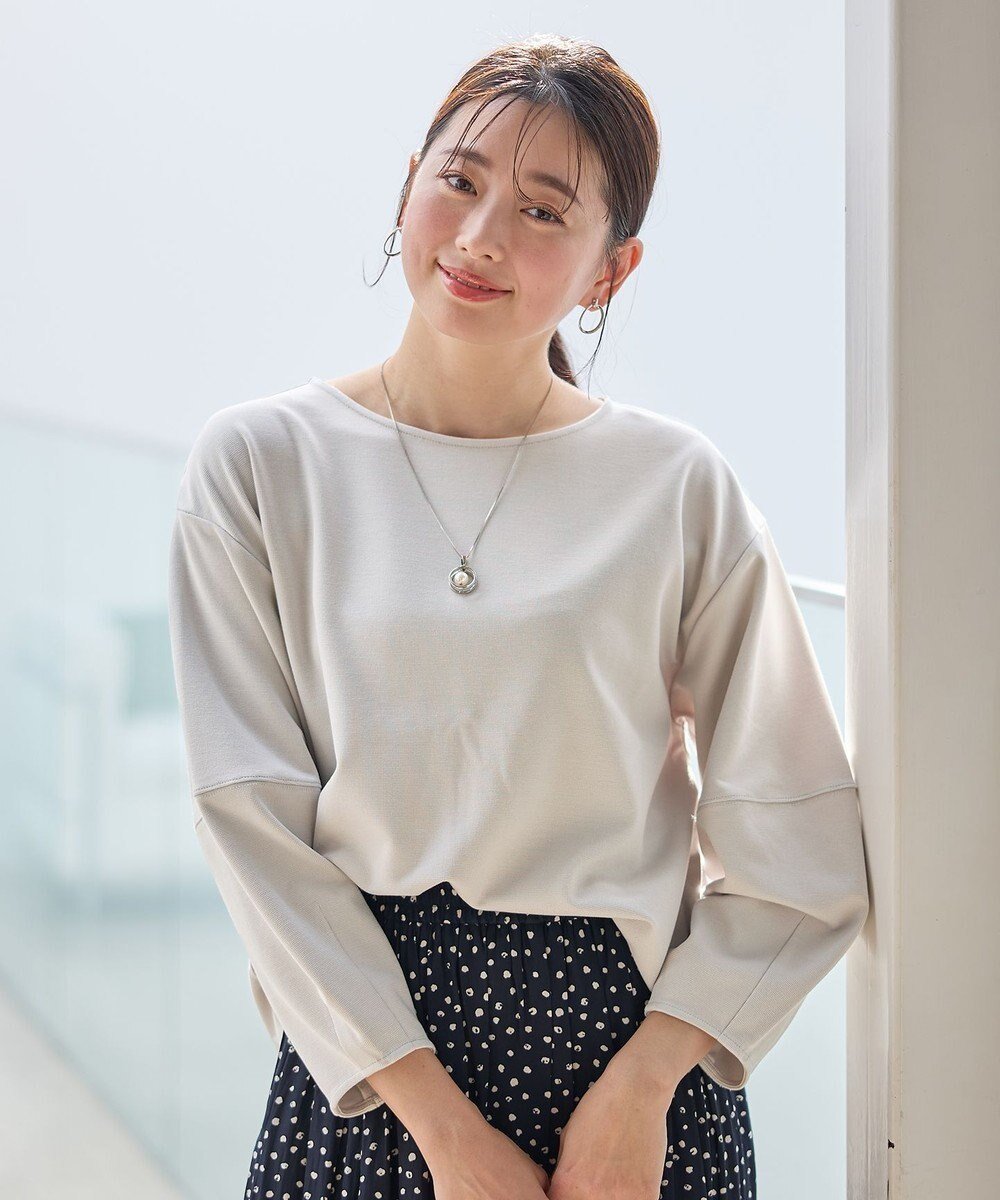 【エニィファム/any FAM】の【洗濯機可/5色展開】サカリバランタンスリーブプルオーバー インテリア・キッズ・メンズ・レディースファッション・服の通販 founy(ファニー) 　ファッション　Fashion　レディースファッション　WOMEN　トップス・カットソー　Tops/Tshirt　シャツ/ブラウス　Shirts/Blouses　ロング / Tシャツ　T-Shirts　プルオーバー　Pullover　カットソー　Cut and Sewn　おすすめ　Recommend　カットソー　Cut And Sew　スリーブ　Sleeve　ダブル　Double　デニム　Denim　トレンド　Trend　フェイス　Face　ベーシック　Basic　エレガント 上品　Elegant　夏　Summer　春　Spring　S/S・春夏　Ss・Spring/Summer　グレージュ|ID: prp329100004385124 ipo3291000000031962669