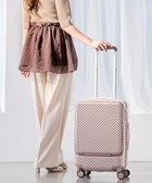 【エースバッグズアンドラゲッジ/ACE BAGS & LUGGAGE】のHaNT ココント スーツケース 34L 機内持込 フロントポケット付 05513 ハント ソイル・ピンク|ID:prp329100004393721