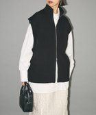 【グリーンパークス/Green Parks】のフロントジップベスト 人気、トレンドファッション・服の通販 founy(ファニー) ファッション Fashion レディースファッション WOMEN アウター Coat Outerwear トップス・カットソー Tops/Tshirt ベスト/ジレ Gilets/Vests インナー Inner エレガント 上品 Elegant シンプル Simple トレンド Trend ハイネック High Neck フランス France フロント Front ベスト Vest ポケット Pocket リブニット Rib Knit ワイド Wide A/W・秋冬 Aw・Autumn/Winter・Fw・Fall-Winter おすすめ Recommend ビジネス 仕事 通勤 Business thumbnail Black|ID: prp329100004416041 ipo3291000000031010027