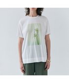【ベイジ,/BEIGE,】の【洗える】PENTAS / オリジナルフォトプリントTシャツ Agapanthus|ID: prp329100004422704 ipo3291000000030883089