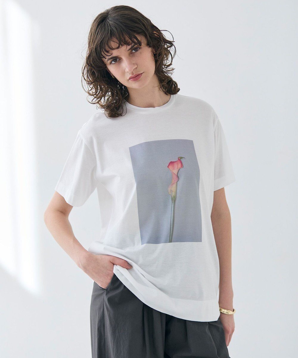 【ベイジ,/BEIGE,】の【洗える】PENTAS / オリジナルフォトプリントTシャツ インテリア・キッズ・メンズ・レディースファッション・服の通販 founy(ファニー) 　ファッション　Fashion　レディースファッション　WOMEN　トップス・カットソー　Tops/Tshirt　シャツ/ブラウス　Shirts/Blouses　ロング / Tシャツ　T-Shirts　カットソー　Cut and Sewn　インナー　Inner　春　Spring　洗える　Washable　カットソー　Cut And Sew　カーゴパンツ　Cargo Pants　今季　This Season　ジャケット　Jacket　スタイリッシュ　Stylish　デニム　Denim　フロント　Front　プリント　Print　ベーシック　Basic　半袖　Short Sleeve　S/S・春夏　Ss・Spring/Summer　再入荷　Restock/Back In Stock/Re Arrival　夏　Summer　Calla lily|ID: prp329100004422704 ipo3291000000030883093