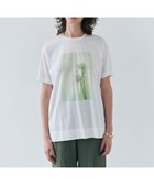 【ベイジ,/BEIGE,】の【洗える】PENTAS / オリジナルフォトプリントTシャツ Agapanthus|ID: prp329100004422704 ipo3291000000032644402