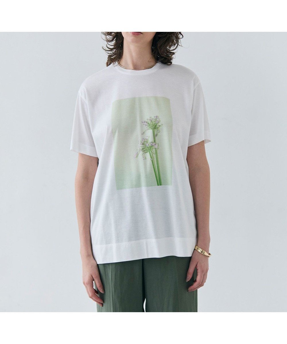 【ベイジ,/BEIGE,】の【洗える】PENTAS / オリジナルフォトプリントTシャツ インテリア・キッズ・メンズ・レディースファッション・服の通販 founy(ファニー) 　ファッション　Fashion　レディースファッション　Ladies' Fashion Online　トップス・カットソー　Tops/Tshirt　シャツ/ブラウス　Shirts/Blouses　ロング / Tシャツ　T-Shirts　カットソー　Cut and Sewn　インナー　Inner　春　Spring　洗える　Washable　カットソー　Cut And Sew　カーゴパンツ　Cargo Pants　今季　This Season　ジャケット　Jacket　スタイリッシュ　Stylish　デニム　Denim　フロント　Front　プリント　Print　ベーシック　Basic　半袖　Short Sleeve　S/S・春夏　Ss・Spring/Summer　夏　Summer　Agapanthus|ID: prp329100004422704 ipo3291000000032644402
