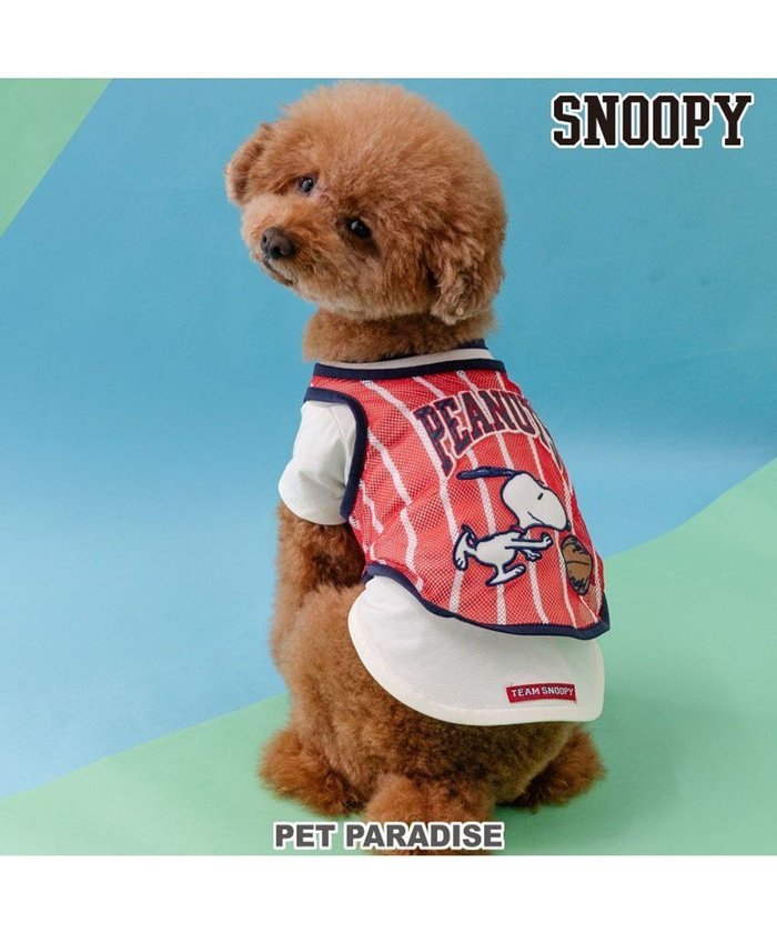 【ペットパラダイス/PET PARADISE / GOODS】のスヌーピー ビブスTシャツ 《ホワイト》 小型犬 インテリア・キッズ・メンズ・レディースファッション・服の通販 founy(ファニー) https://founy.com/ NEW・新作・新着・新入荷 New Arrivals 再入荷 Restock/Back In Stock/Re Arrival 夏 Summer 春 Spring S/S・春夏 Ss・Spring/Summer 犬 Dog ホーム・キャンプ・アウトドア・お取り寄せ Home,Garden,Outdoor,Camping Gear ペットグッズ Pet Supplies |ID: prp329100004427325 ipo3291000000030915857