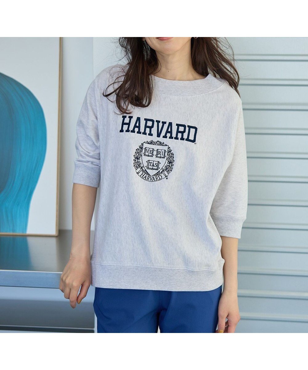 【エニー/ANY】のカレッジコラボトレーナー インテリア・キッズ・メンズ・レディースファッション・服の通販 founy(ファニー) 　ファッション　Fashion　レディースファッション　Fashion for Women　トップス・カットソー　Cut & Sew Tops　シャツ・ブラウス・オフィスカジュアル　Elegant Blouses & Button-Ups　ロングTシャツ・Tシャツ　Longline T-Shirts & Tees　カットソー・ベーシックTシャツ　Cut-and-Sewn Tops / Stretch Tees & Basics　春　Spring　カットソー　Cut and Sewn Top　キャップ　Cap, Baseball Cap　スラックス　Slacks, Dress Pants　トレンド　Trend, Trending Now　ループ　Loop, Loop Knit　S/S・春夏　SS, Spring/Summer, Warm Season　おすすめ　Recommended / Our Picks　夏　Summer　トップグレー×ネイビー刺繍|ID: prp329100004434009 ipo3291000000033833738