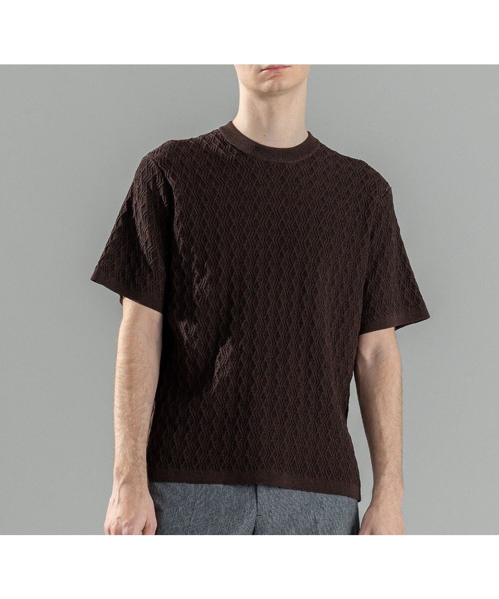 【ジョゼフ オム/JOSEPH HOMME / MEN】の【洗える】ドライコットンリンクス 半袖クルーネックニット インテリア・キッズ・メンズ・レディースファッション・服の通販 founy(ファニー) 　ファッション　Fashion　メンズファッション　MEN　トップス・カットソー　Tops/Tshirt/Men　ニット　Knit Tops　シンプル　Simple　ジャケット　Jacket　セーター　Sweater　ビジネス 仕事 通勤　Business　フィット　Fit　レギュラー　Regular　エレガント 上品　Elegant　半袖　Short Sleeve　夏　Summer　春　Spring　S/S・春夏　Ss・Spring/Summer　洗える　Washable　ダークブラウン系|ID: prp329100004449552 ipo3291000000031685911