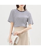【組曲/KUMIKYOKU】のベーシックリブ Tシャツ ボーダー系1|ID: prp329100004455468 ipo3291000000031770910