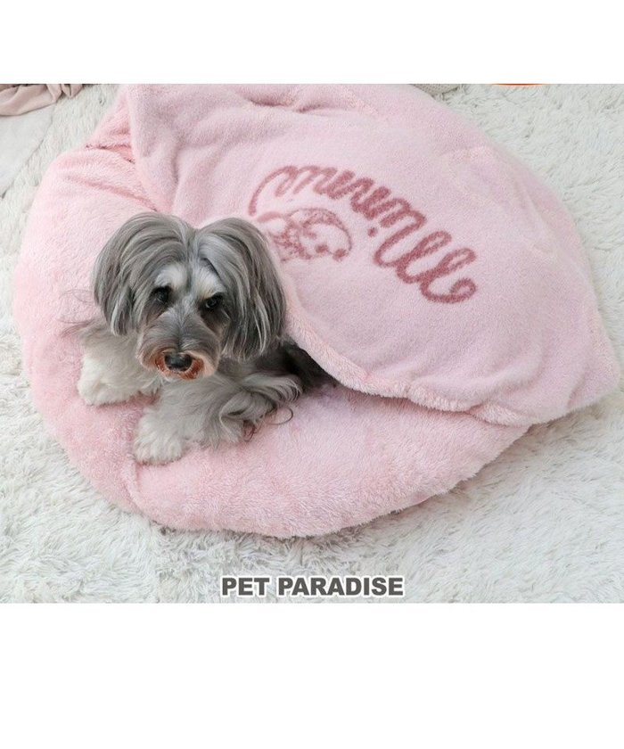 【ペットパラダイス/PET PARADISE / GOODS】のディズニー ミニーマウス 遠赤外線 一緒にぽかぽかマット 《ハート》 小型犬 インテリア・キッズ・メンズ・レディースファッション・服の通販 founy(ファニー) https://founy.com/ 犬 Dog 防寒 Cold Protection ホーム・キャンプ・アウトドア・お取り寄せ Home,Garden,Outdoor,Camping Gear ペットグッズ Pet Supplies |ID: prp329100004457684 ipo3291000000031987842
