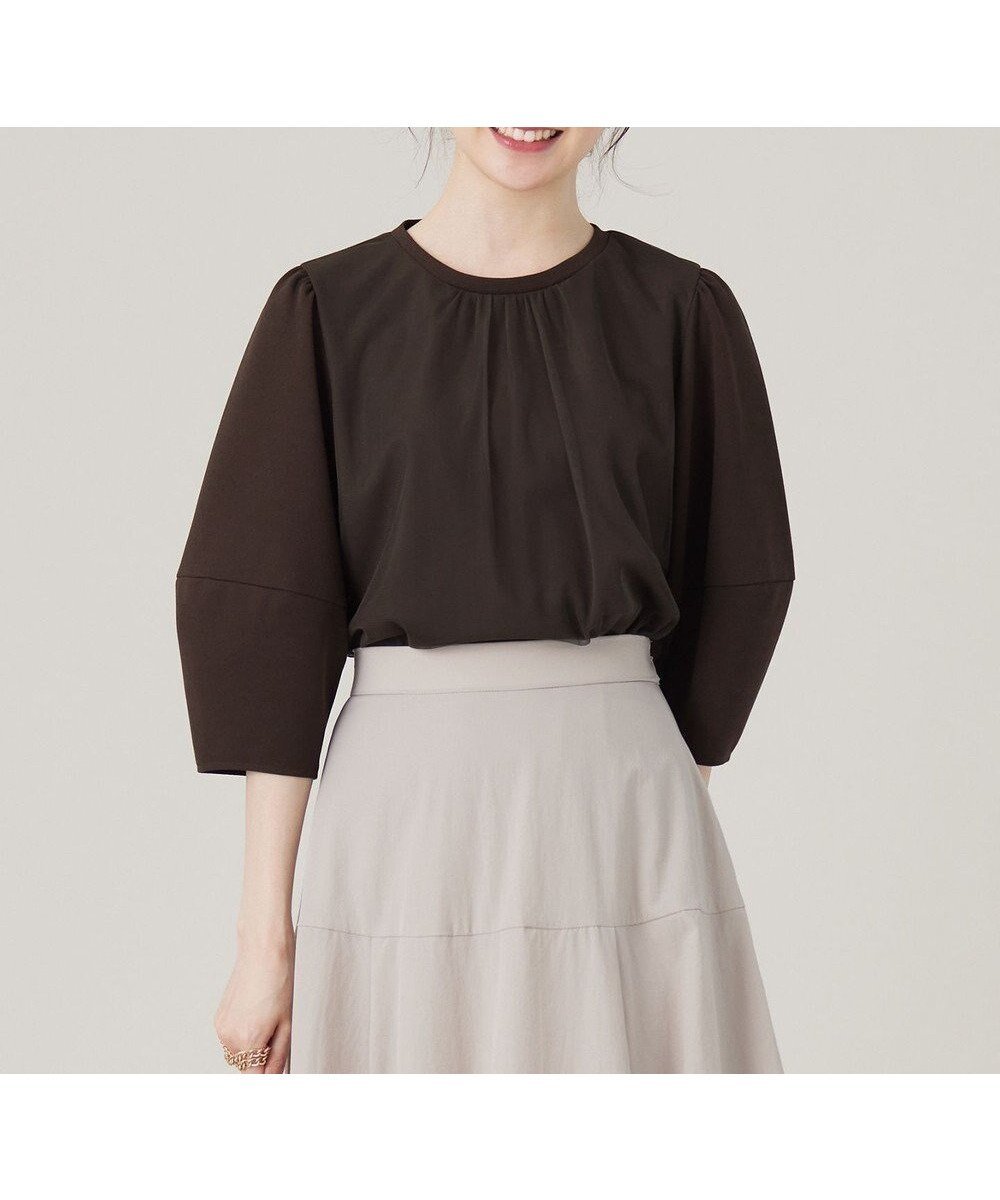 【エニィ スィス/any SiS】の【洗える】カットジョーゼットチュール トップス インテリア・キッズ・メンズ・レディースファッション・服の通販 founy(ファニー) 　ファッション　Fashion　レディースファッション　WOMEN　トップス・カットソー　Tops/Tshirt　シャツ/ブラウス　Shirts/Blouses　ジョーゼット　Georgette　ストレッチ　Stretch　スリーブ　Sleeve　チュール　Tulle　エレガント 上品　Elegant　春　Spring　洗える　Washable　秋　Autumn/Fall　A/W・秋冬　Aw・Autumn/Winter・Fw・Fall-Winter　ブラウン|ID: prp329100004471367 ipo3291000000031991752