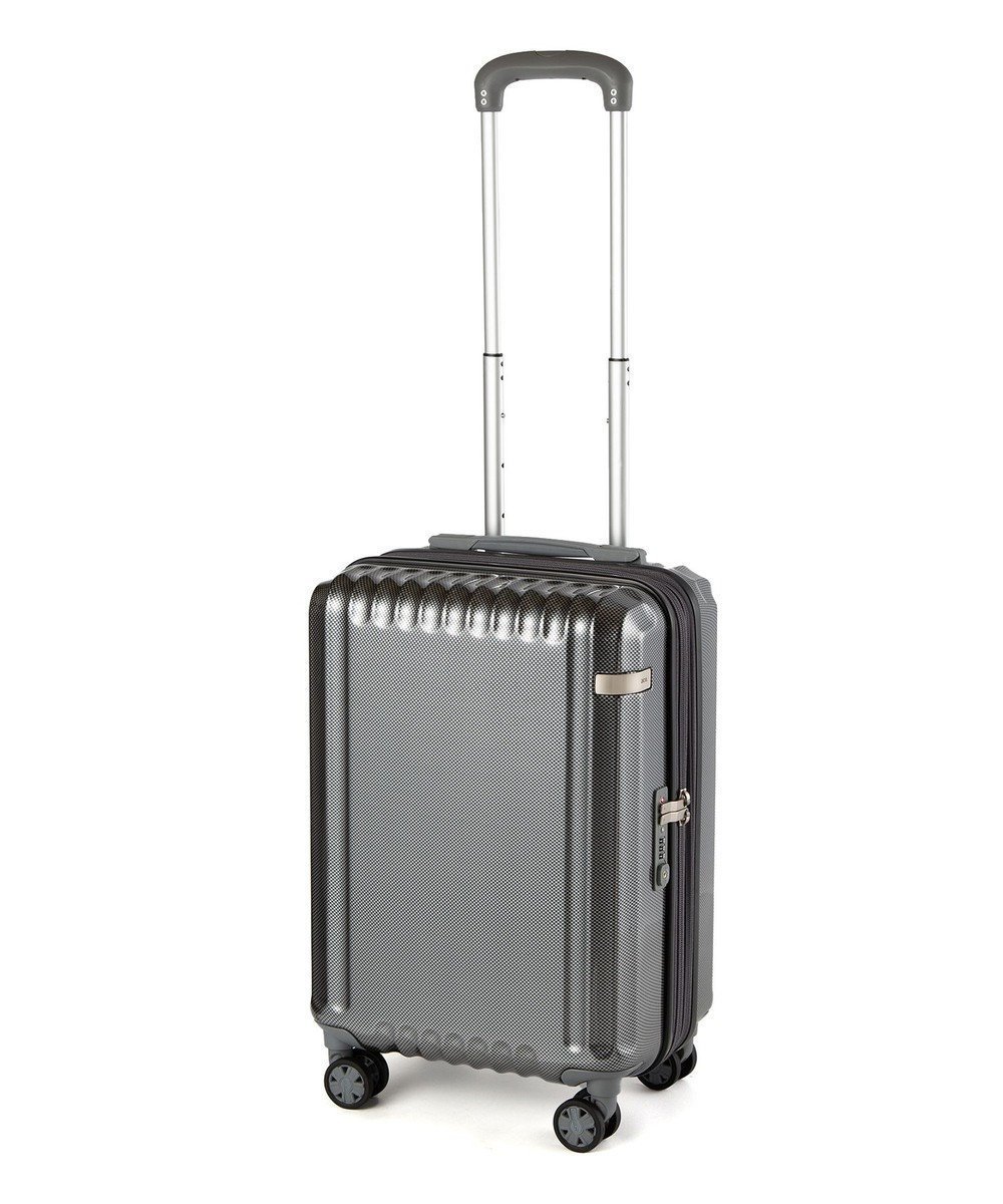 【エースバッグズアンドラゲッジ/ACE BAGS & LUGGAGE】のace. パリセイドZd 機内持ち込み Sサイズ 35～40L 06816 エース インテリア・キッズ・メンズ・レディースファッション・服の通販 founy(ファニー) 　ファッション　Fashion　レディースファッション　Ladies' Fashion Online　スーツ　Suits　ポケット　Pocket　メッシュ　Mesh　リュック　Ruck Sack　再入荷　Restock/Back In Stock/Re Arrival　おすすめ　Recommend　旅行　Travel　スーツケース キャリーケース　Suitcase　ブラックカーボン|ID: prp329100004473933 ipo3291000000032476532