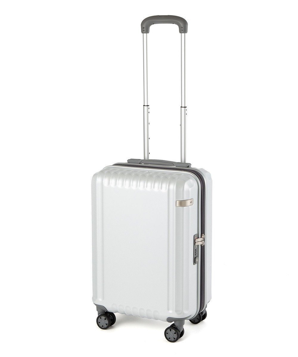 【エースバッグズアンドラゲッジ/ACE BAGS & LUGGAGE】のace. パリセイドZd 機内持ち込み Sサイズ 35～40L 06816 エース インテリア・キッズ・メンズ・レディースファッション・服の通販 founy(ファニー) 　ファッション　Fashion　レディースファッション　Ladies' Fashion Online　スーツ　Suits　ポケット　Pocket　メッシュ　Mesh　リュック　Ruck Sack　再入荷　Restock/Back In Stock/Re Arrival　おすすめ　Recommend　旅行　Travel　スーツケース キャリーケース　Suitcase　ホワイトカーボン|ID: prp329100004473933 ipo3291000000032476534