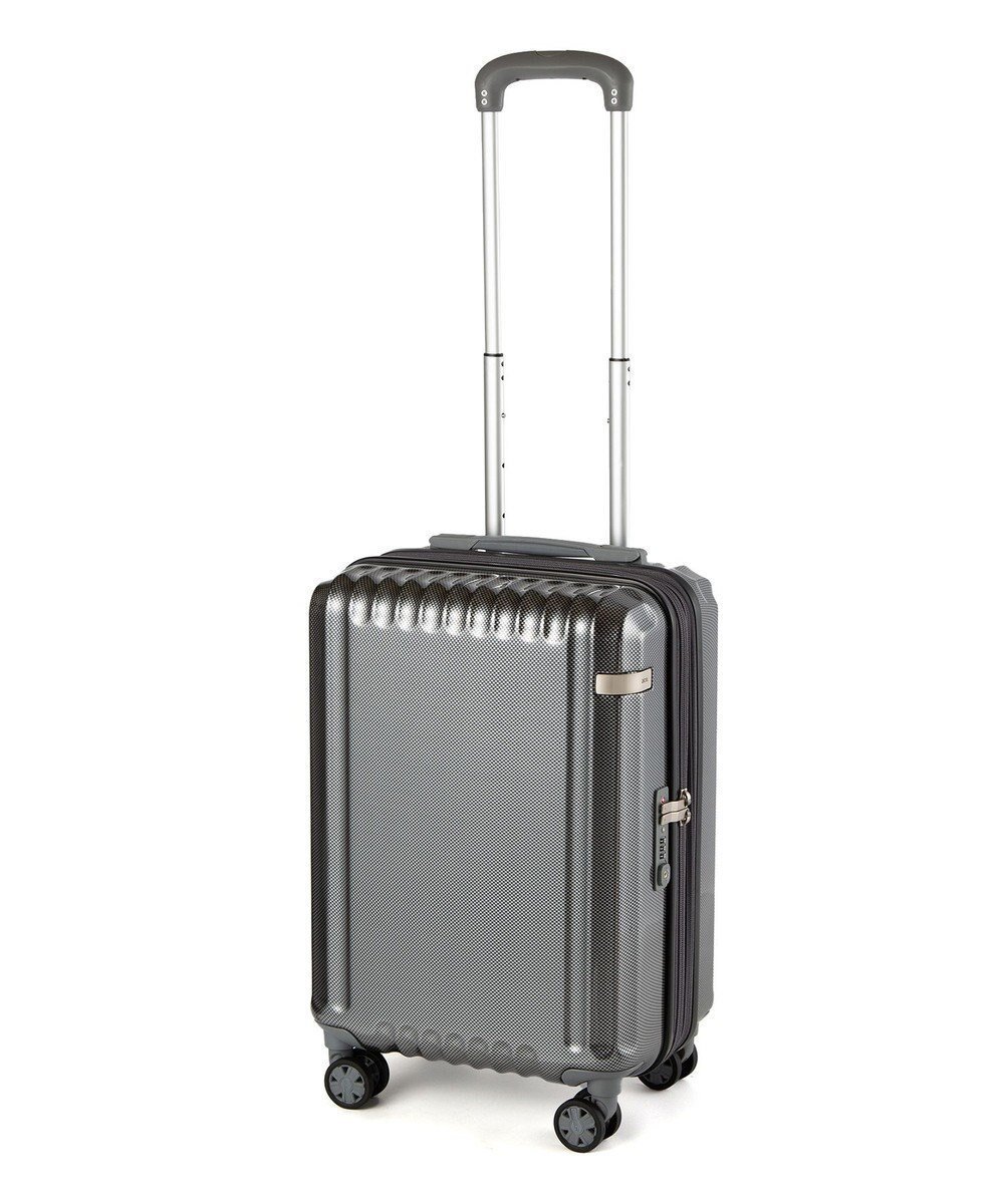 【エースバッグズアンドラゲッジ/ACE BAGS & LUGGAGE】のace. パリセイドZd 機内持ち込み Sサイズ 35～40L 06816 エース インテリア・キッズ・メンズ・レディースファッション・服の通販 founy(ファニー) 　ファッション　Fashion　レディースファッション　Fashion for Women　スーツ　Business Suits & Workwear　ポケット　Pocket, Pocket Detail　メッシュ　Mesh, Net Fabric　リュック　Backpack, Rucksack　再入荷　Restock / Back in Stock　おすすめ　Recommended / Our Picks　旅行　Travel　スーツケース キャリーケース　Suitcase / Carry Case　ブラックカーボン|ID: prp329100004473933 ipo3291000000033357079