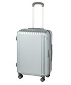 【エースバッグズアンドラゲッジ/ACE BAGS & LUGGAGE】のace. パリセイドZd Mサイズ 59~70L 06818 エース ヘアラインシルバー|ID: prp329100004473941 ipo3291000000031985301