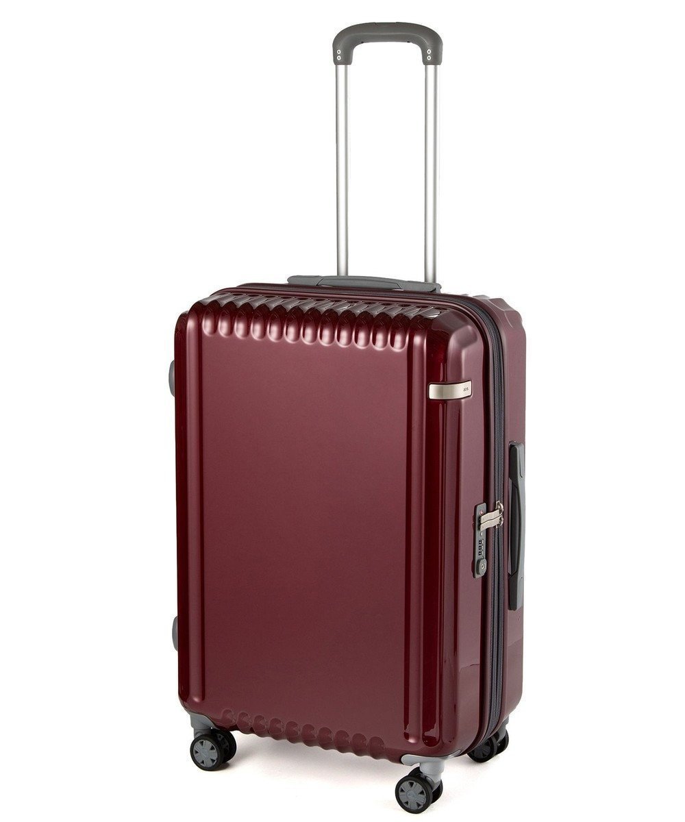 【エースバッグズアンドラゲッジ/ACE BAGS & LUGGAGE】のace. パリセイドZd Mサイズ 59～70L 06818 エース インテリア・キッズ・メンズ・レディースファッション・服の通販 founy(ファニー) 　ファッション　Fashion　レディースファッション　Ladies' Fashion Online　スーツ　Suits　ポケット　Pocket　メッシュ　Mesh　リュック　Ruck Sack　再入荷　Restock/Back In Stock/Re Arrival　おすすめ　Recommend　旅行　Travel　スーツケース キャリーケース　Suitcase　レッド|ID: prp329100004473941 ipo3291000000032589488