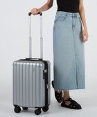 【エースバッグズアンドラゲッジ/ACE BAGS & LUGGAGE】のRIMINI フラミニア スーツケース 機内持込み 32L 05121 リミニ エース シルバー|ID: prp329100004475370 ipo3291000000031671754