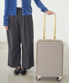 【エースバッグズアンドラゲッジ/ACE BAGS & LUGGAGE】の【雑誌掲載】 HaNT×Jewelna Rose コラボ スーツケース 機内持ち込み 06821 ハント ジュエルナローズ モカカプチーノ|ID: prp329100004479544 ipo3291000000032133057