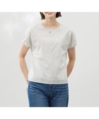 【ジェイ プレス/J.PRESS】の【洗える】シアーエンブロイダリー カットソー グレージュ系|ID: prp329100004484323 ipo3291000000032671220
