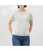 【ジェイ プレス/J.PRESS】の【洗える】シアーエンブロイダリー カットソー グレージュ系|ID: prp329100004484323 ipo3291000000033529114