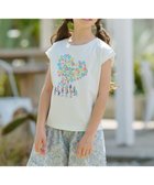 【組曲 / KIDS/KUMIKYOKU】の【110-140㎝】【UVケア】グリーンバンド Tシャツ セージ系|ID: prp329100004487070 ipo3291000000031987707