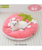 【ペットパラダイス/PET PARADISE / GOODS】のネット店限定 ペットパラダイス 苺 クッション 《パステルピンク》 70×71cm 小型犬 パステルピンク|ID: prp329100004492311 ipo3291000000031929620